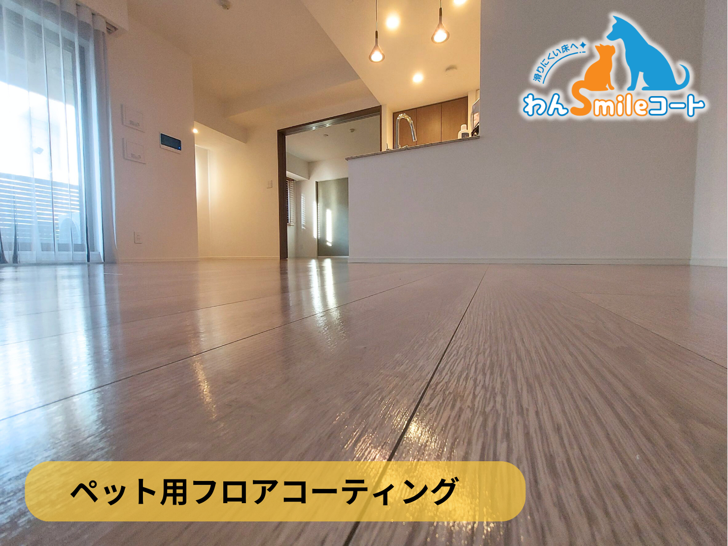 【東京都渋谷区】ペット用フロアコーティング施工事例｜リノベーションマンション　わんスマイルコート