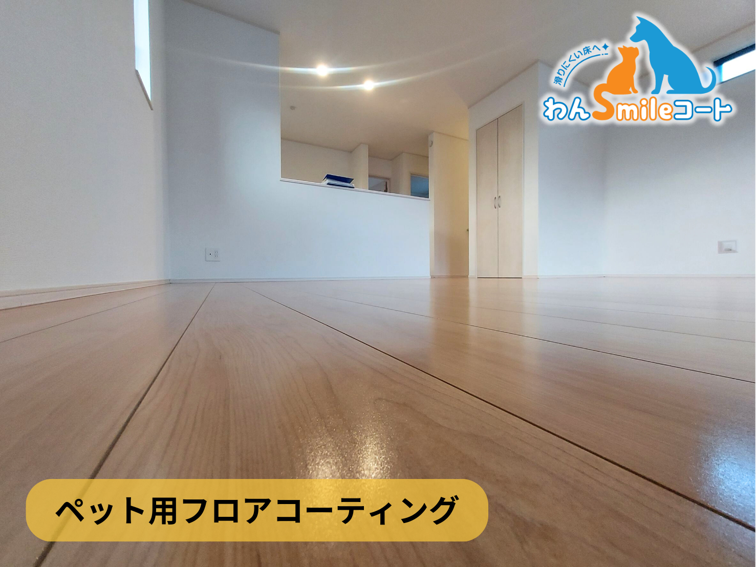 【東京都府中市】ペット用フロアコーティング施工事例｜新築戸建　わんスマイルコート