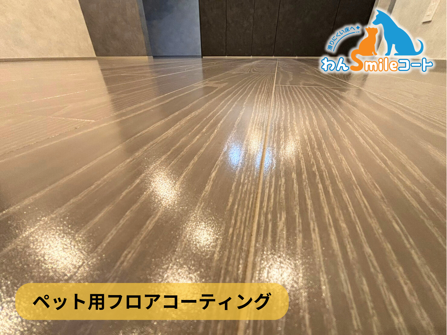【東京都清瀬市】ペット用フロアコーティング施工事例｜新築戸建　わんスマイルコート
