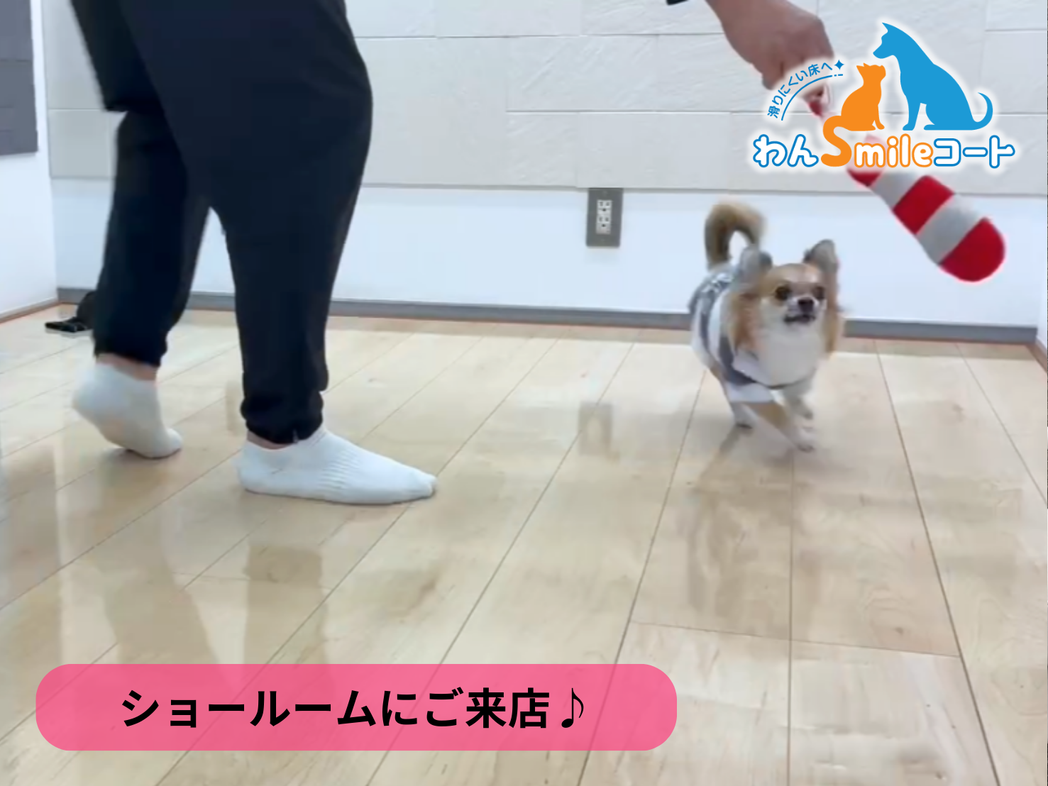 【埼玉県さいたま市】ショールームにご来店いただきました｜フロアコーティングご相談事例