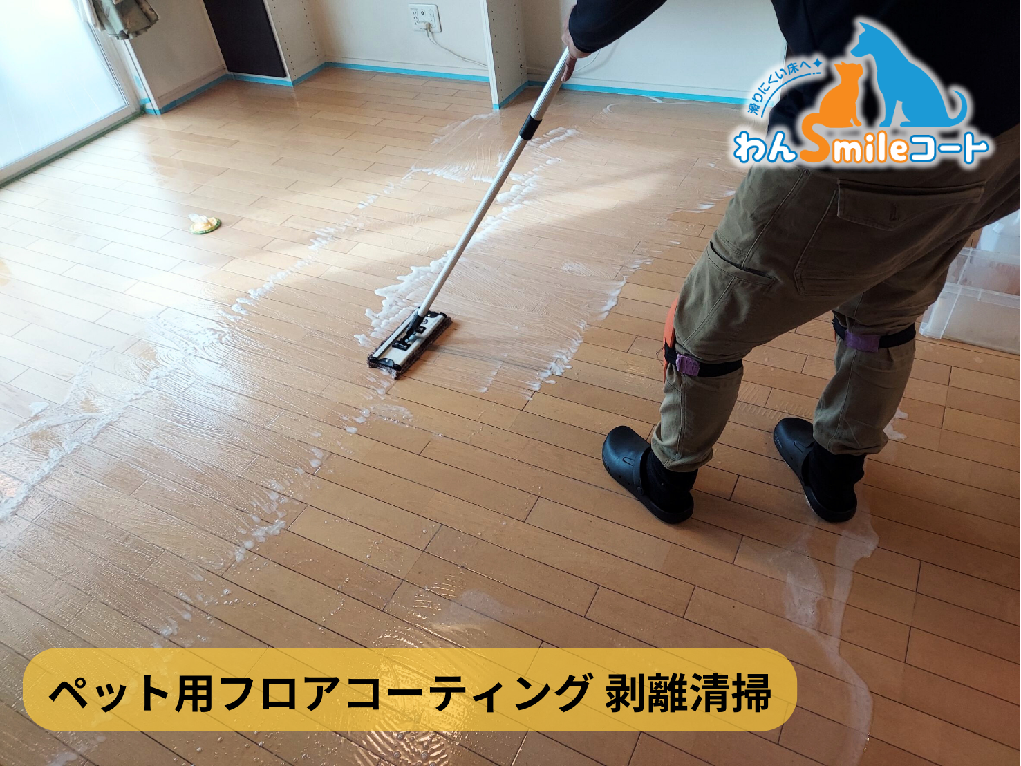【福島県郡山市】ペット用フロアコーティング施工事例｜入居中戸建　わんスマイルコート