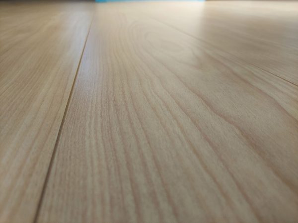 【新潟県長岡市】ペット用フロアコーティング施工事例|新築戸建 わんスマイルコート 新潟県長岡市 フロアコーティング 施工前の様子