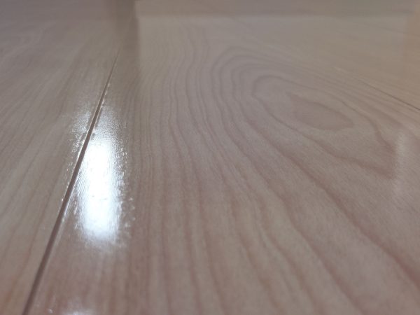 【新潟県長岡市】ペット用フロアコーティング施工事例|新築戸建 わんスマイルコート 新潟県長岡市 フロアコーティング 施工後 わんスマイルコート