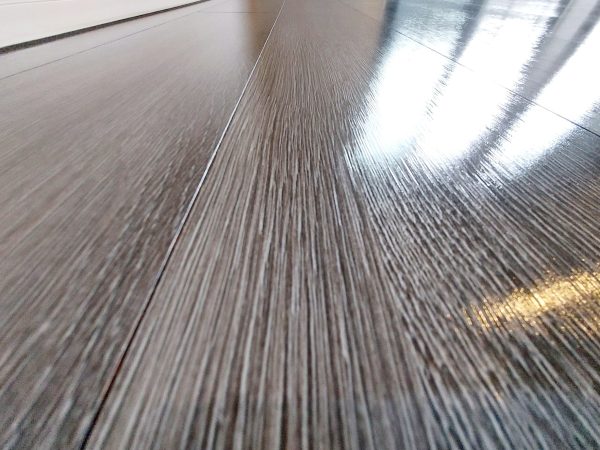 【東京都世田谷区】ペット用フロアコーティング施工事例|リノベーションマンション わんスマイルコート 東京都世田谷区 フロアコーティング 施工後 わんスマイルコート