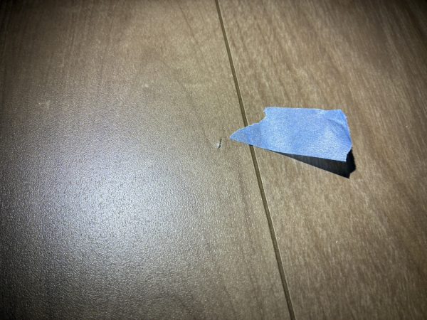 【東京都墨田区】フロアコーティング　新築戸建　内覧会同行