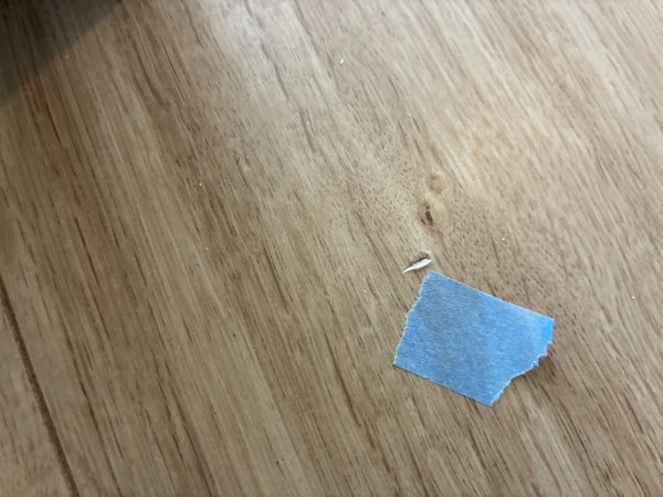 【千葉県船橋市】フロアコーティング　新築戸建　内覧会同行