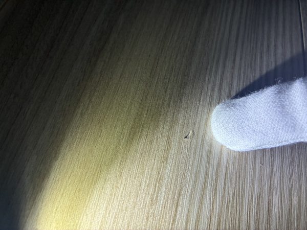 【神奈川県横浜市】フロアコーティング　新築戸建　内覧会同行