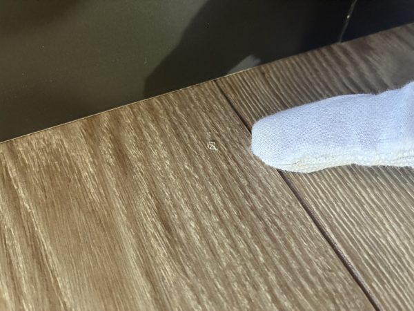 【神奈川県横浜市】フロアコーティング　新築戸建　内覧会同行