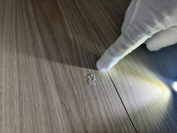 【神奈川県横浜市】フロアコーティング　新築戸建　内覧会同行