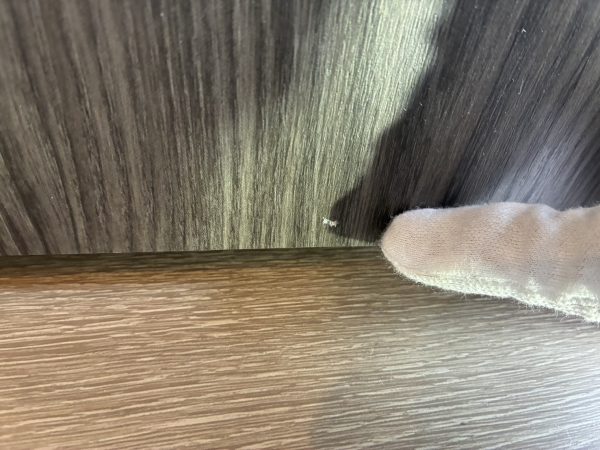 【東京都青梅市】フロアコーティング　新築マンション(デュオヒルズ青梅ザ・ファースト)　内覧会同行