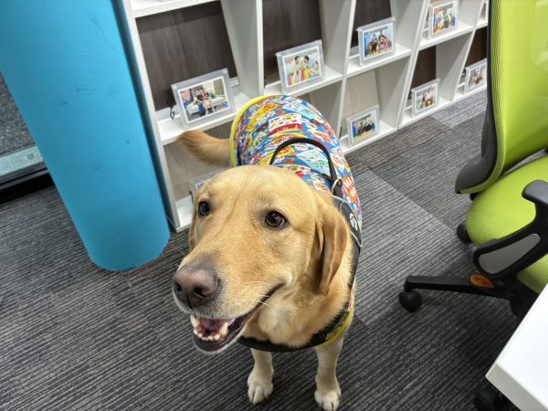 埼玉県さいたま市ショールームにご来店|フロアコーティングのご相談