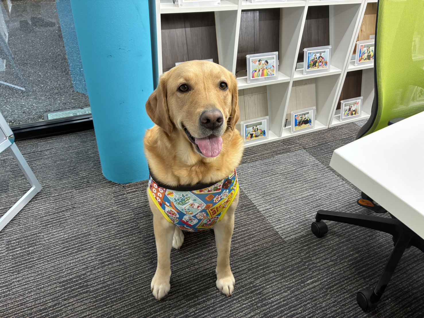 埼玉県さいたま市ショールームにご来店|フロアコーティングのご相談