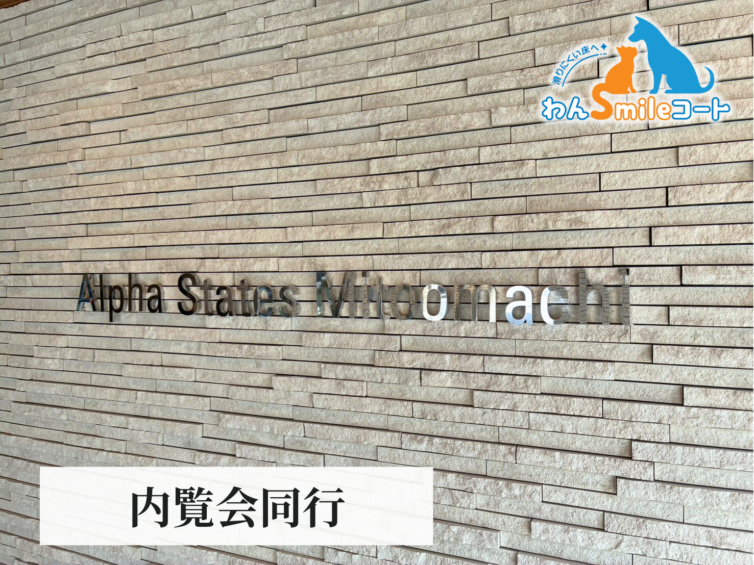 【茨城県水戸市】フロアコーティング　新築マンション(アルファステイツ水戸大町)　内覧会同行