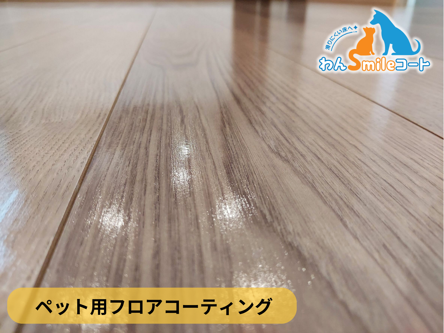 【東京都江戸川区】ペット用フロアコーティング施工事例｜新築戸建　わんスマイルコート