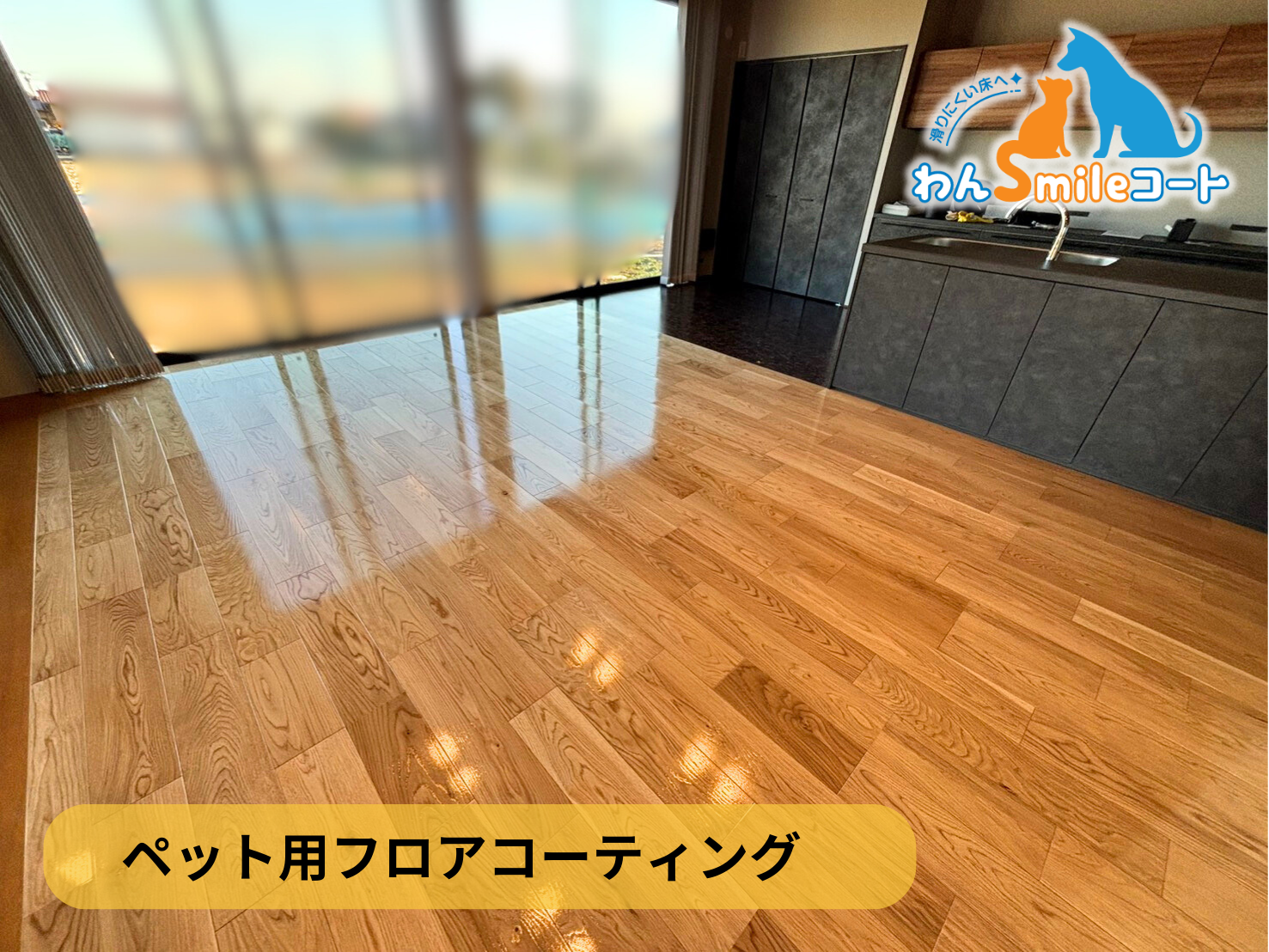 【埼玉県富士見市】ペット用フロアコーティング施工事例｜新築戸建　わんスマイルコート
