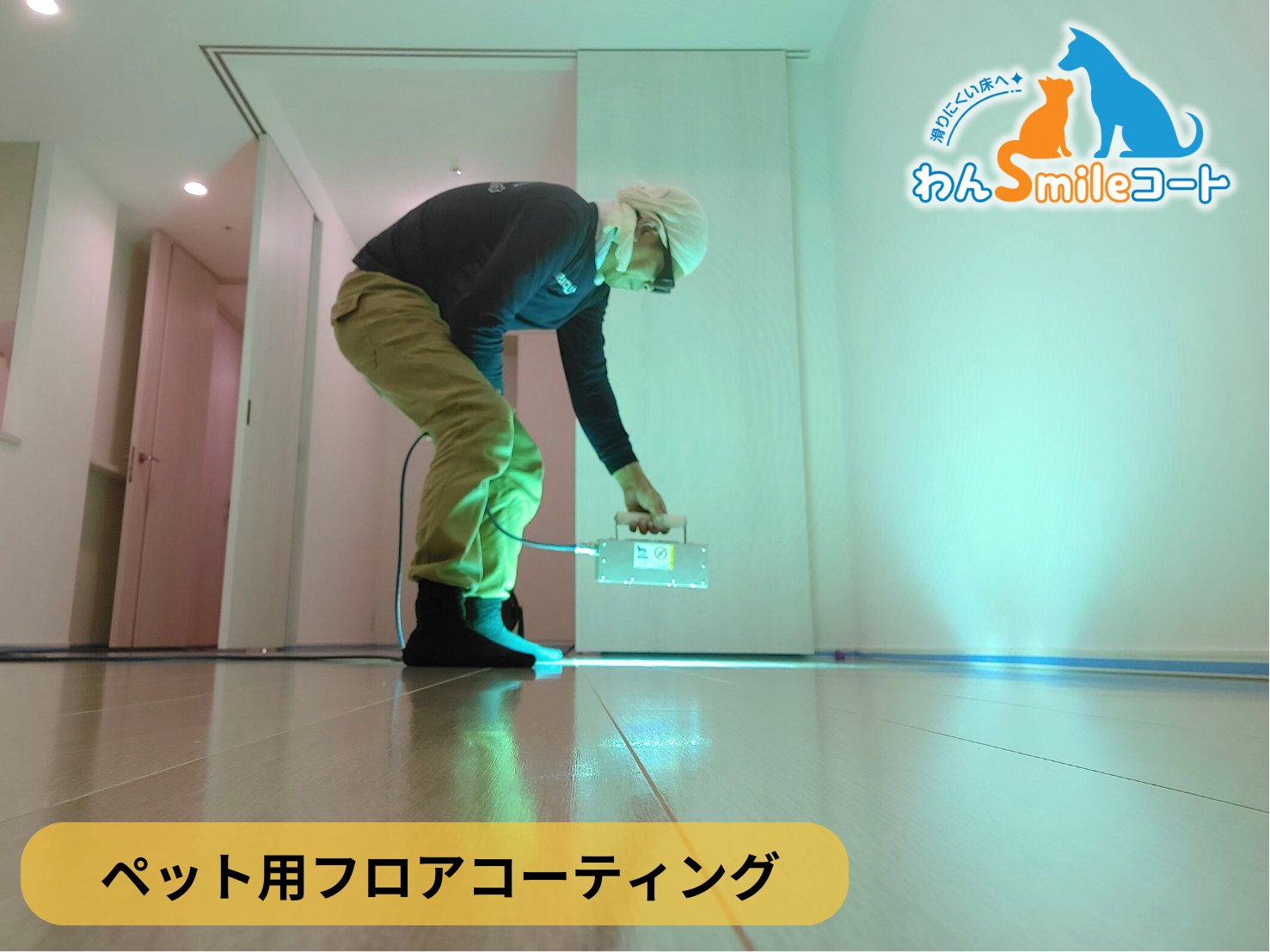【東京都八王子市】ペット用フロアコーティング施工事例｜中古マンション　わんスマイルコート