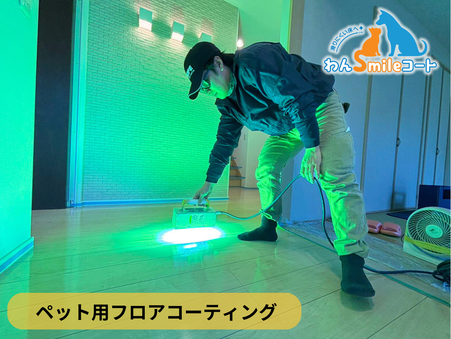 【神奈川県川崎市麻生区】ペット用フロアコーティング施工事例｜中古戸建　わんスマイルコート