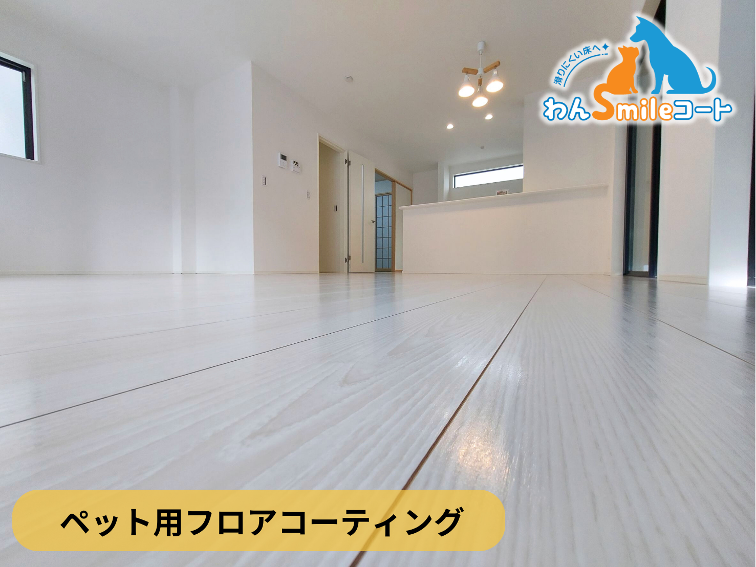 【埼玉県川口市】ペット用フロアコーティング施工事例｜新築戸建　わんスマイルコート