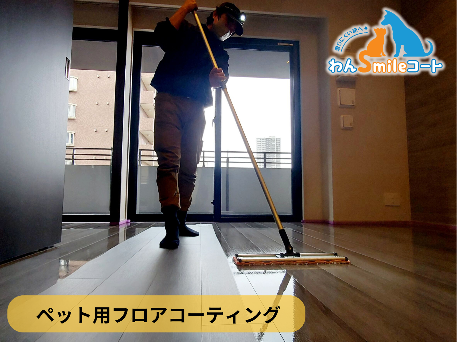 【東京都世田谷区】ペット用フロアコーティング施工事例｜リノベーションマンション　わんスマイルコート