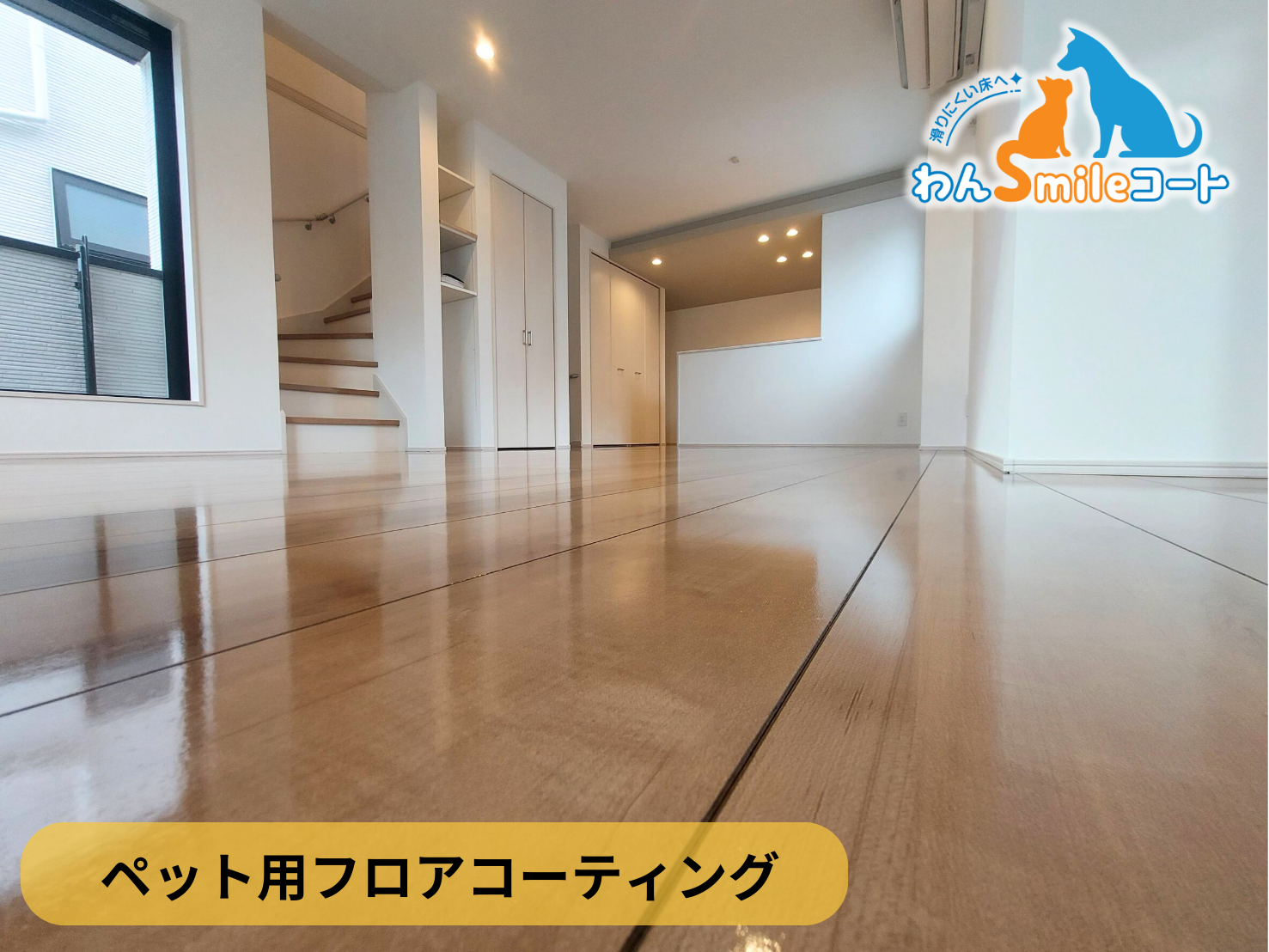 【東京都新宿区】ペット用フロアコーティング施工事例｜新築戸建　わんスマイルコート