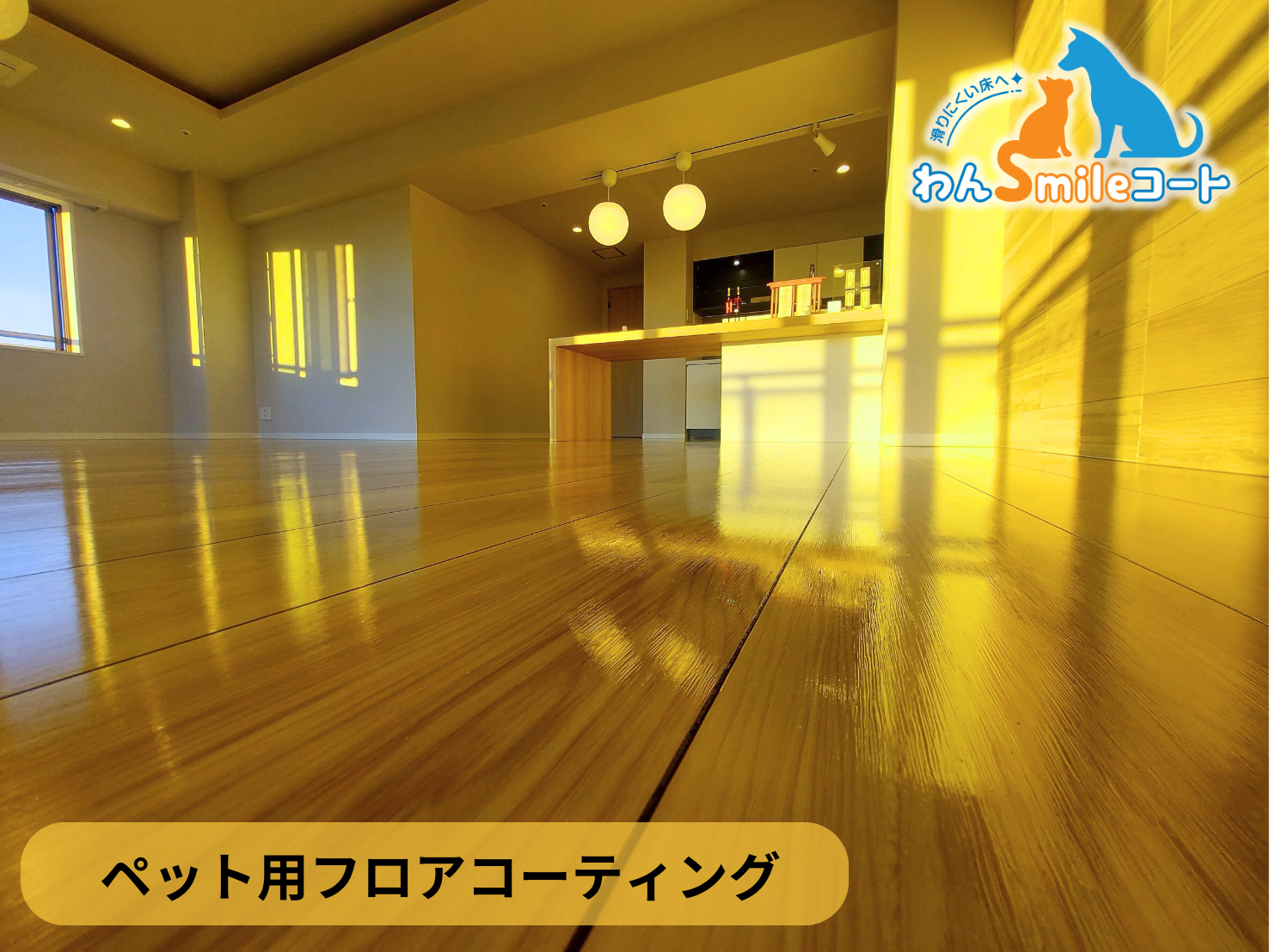 【神奈川県横浜市西区】ペット用フロアコーティング施工事例|リノベーションマンション わんスマイルコート
