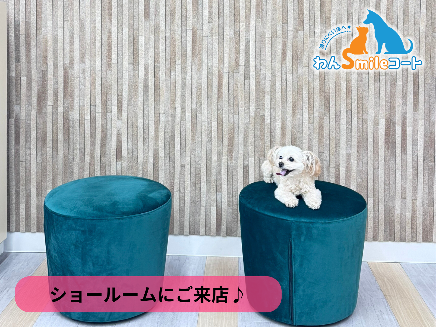 【郡山市】ショールームにご来店いただきました｜フロアコーティングご相談事例