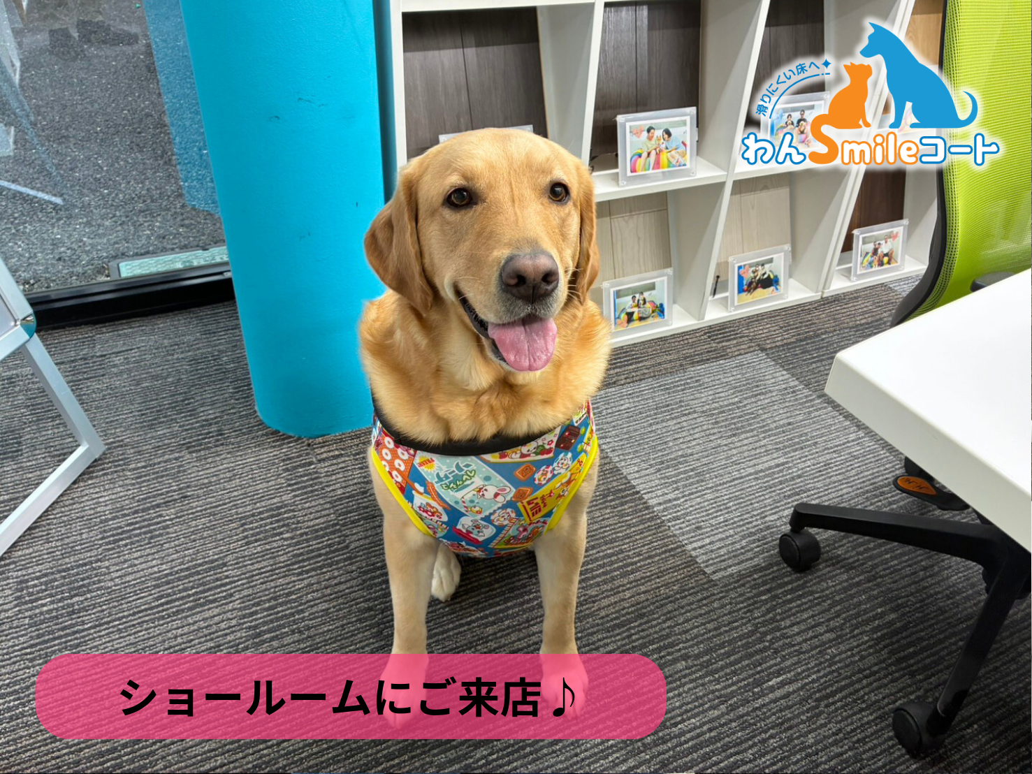 【埼玉県さいたま市】ショールームにご来店いただきました｜フロアコーティングご相談事例