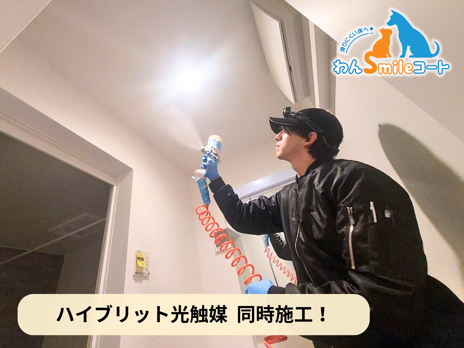 【東京都豊島区】ペット用フロアコーティング施工事例｜新築戸建　わんスマイルコート