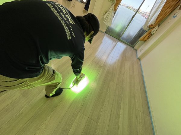 東京都板橋区 フロアコーティング 施工中 わんスマイルコート