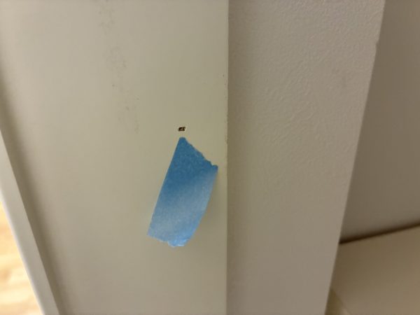 【千葉県市川市】フロアコーティング　新築戸建　内覧会同行