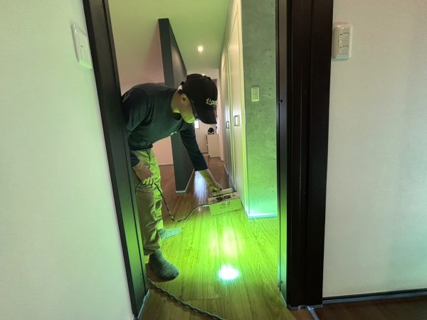 栃木県佐野市 フロアコーティング 施工中 わんスマイルコート