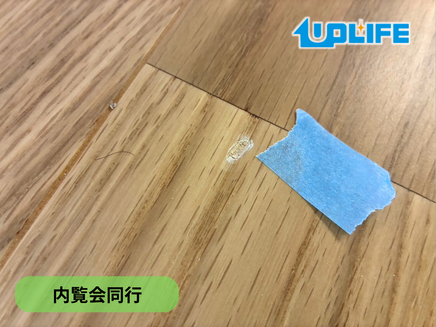 【千葉県市川市】フロアコーティング　新築戸建　内覧会同行