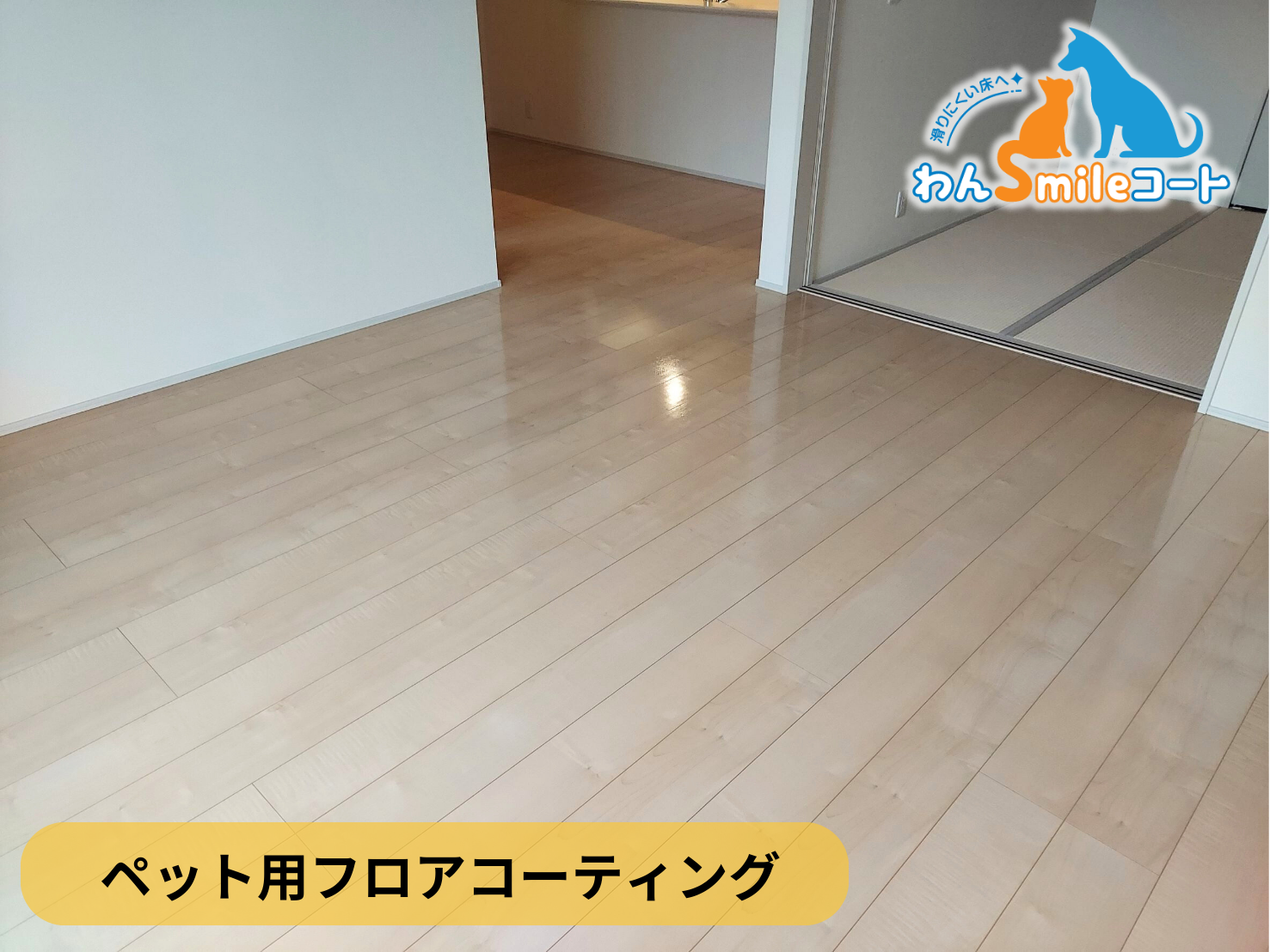 【福島県いわき市】ペット用フロアコーティング施工事例｜新築戸建　わんスマイルコート