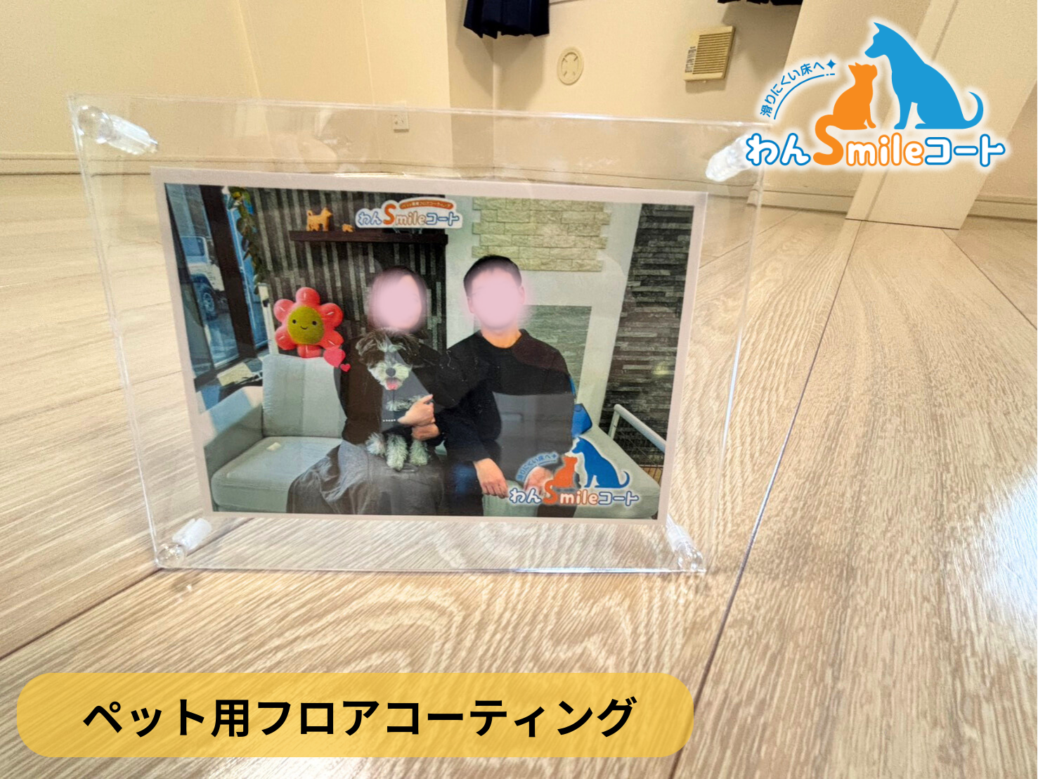 【東京都板橋区】ペット用フロアコーティング施工事例｜入居中マンション　わんスマイルコート