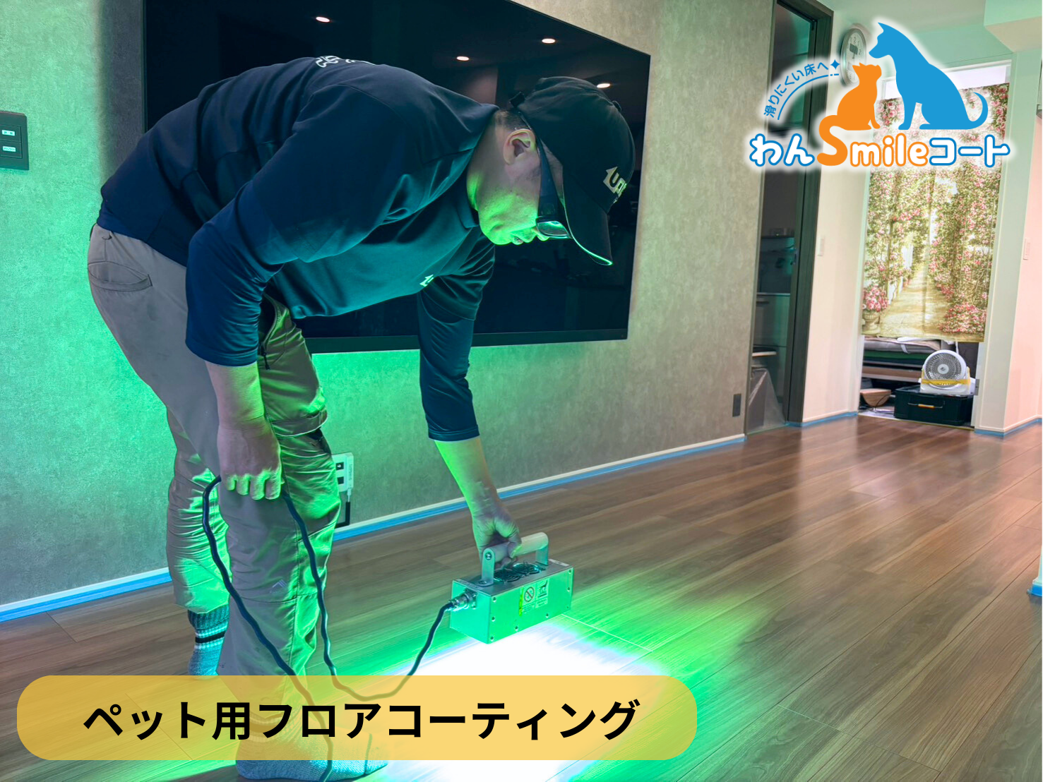 【東京都品川区】ペット用フロアコーティング施工事例｜入居中マンション　わんスマイルコート