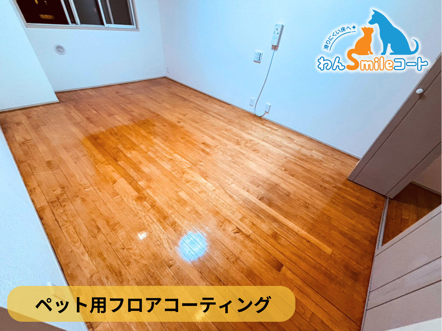 【東京都渋谷区】ペット用フロアコーティング施工事例｜入居中マンション　わんスマイルコート【無垢床】