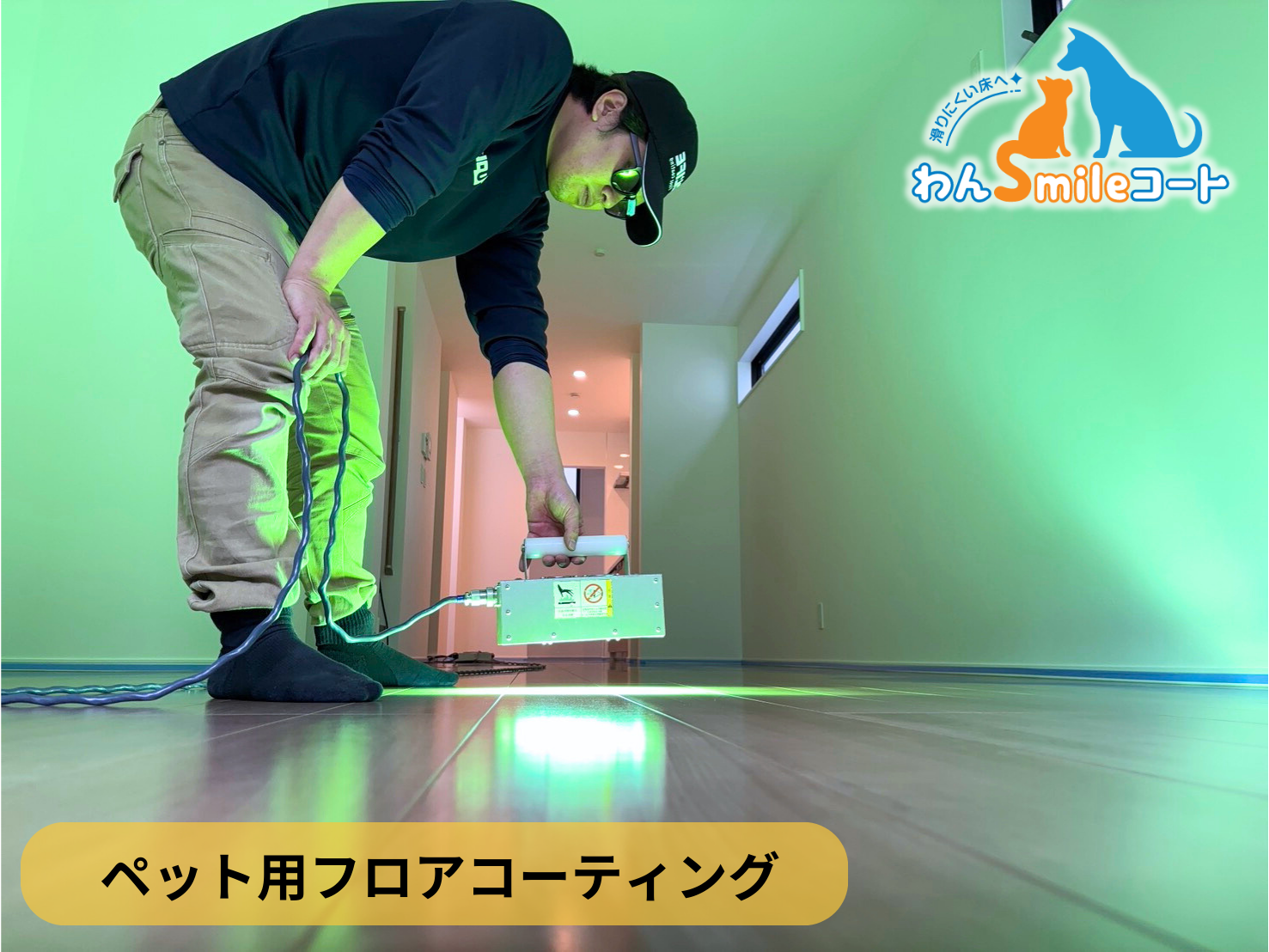 【東京都墨田区】ペット用フロアコーティング施工事例｜新築戸建　わんスマイルコート