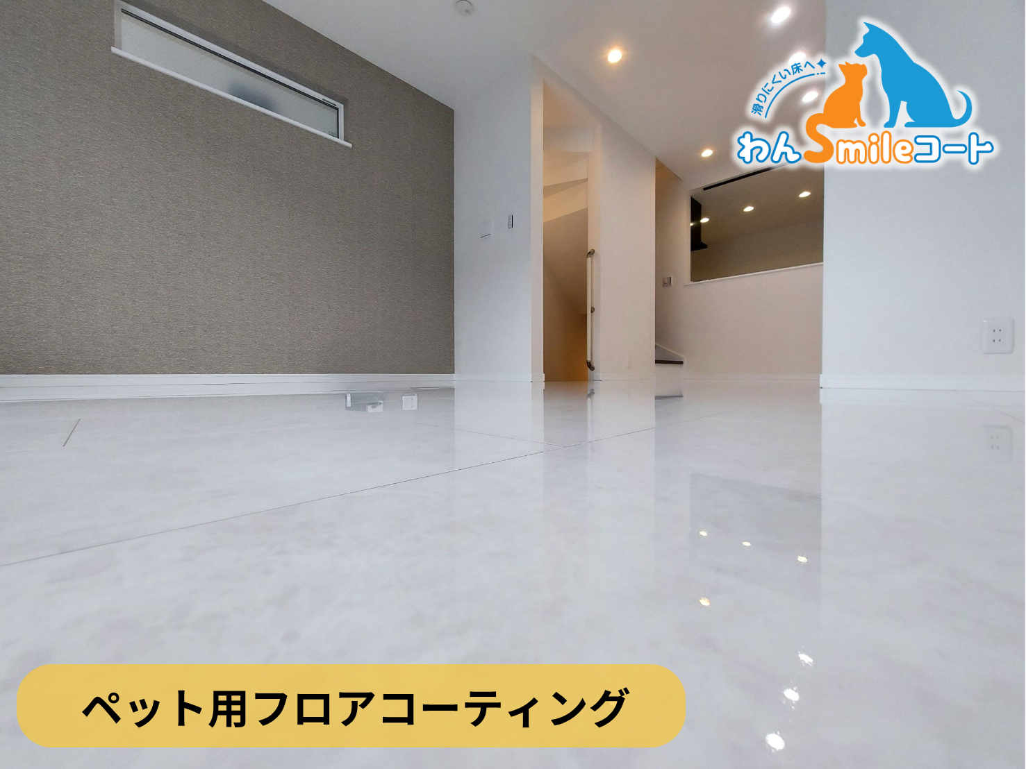 【東京都豊島区】ペット用フロアコーティング施工事例｜新築戸建　わんスマイルコート