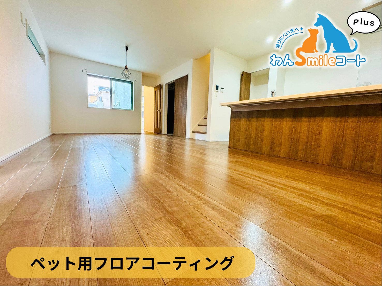 【神奈川県横浜市旭区】ペット用フロアコーティング施工事例｜新築戸建　わんスマイルコートplus