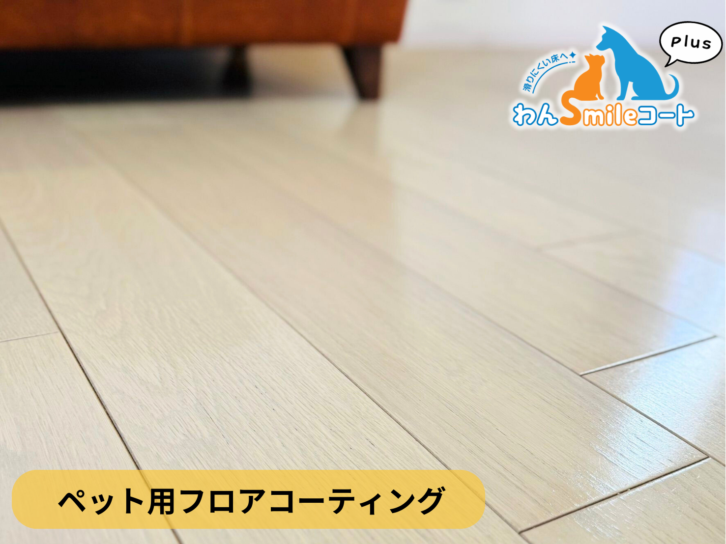 【神奈川県横浜市南区】ペット用フロアコーティング施工事例｜入居中戸建　わんスマイルコートplus