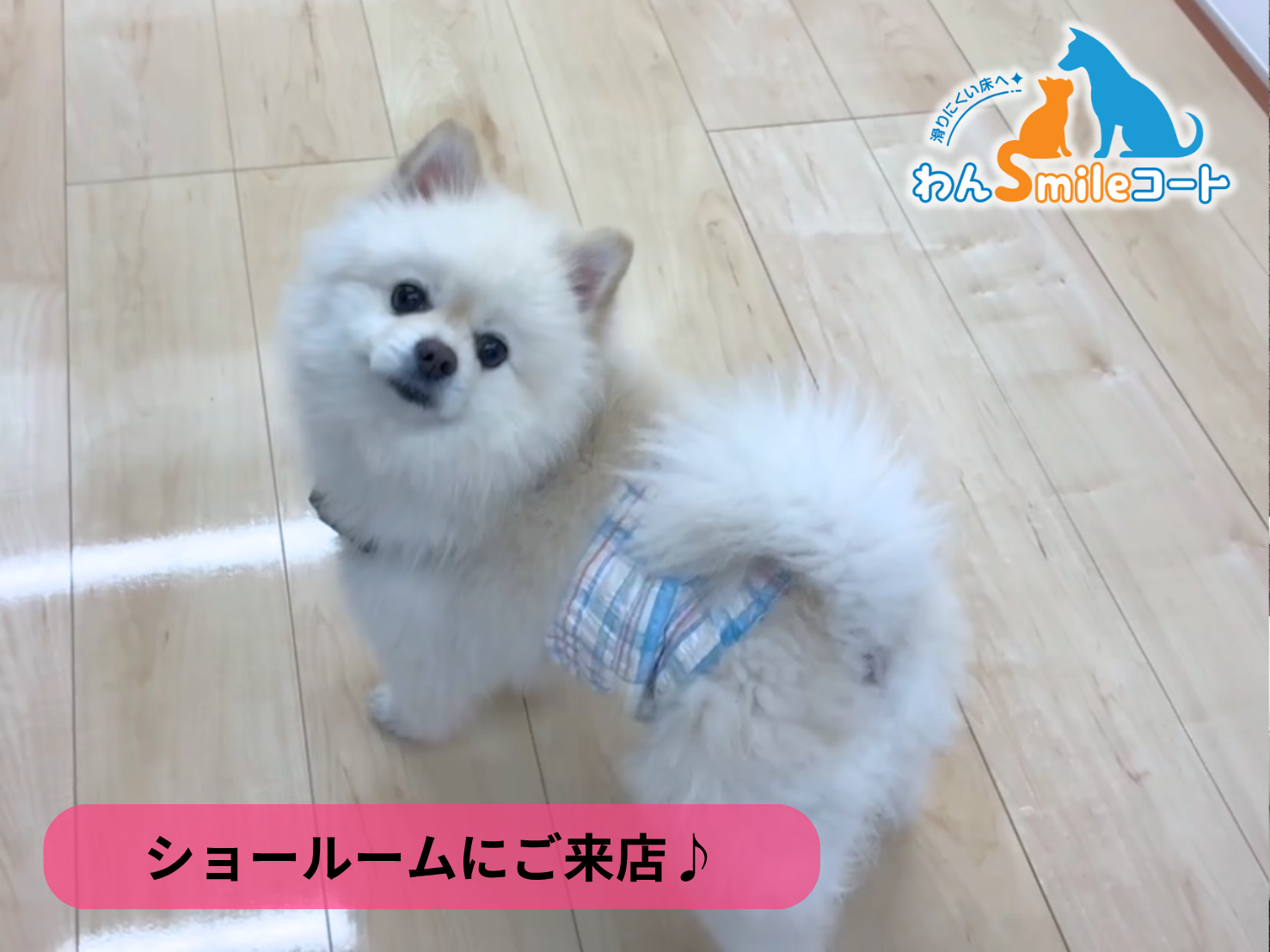 【埼玉県さいたま市】ショールームにご来店いただきました｜フロアコーティングご相談事例