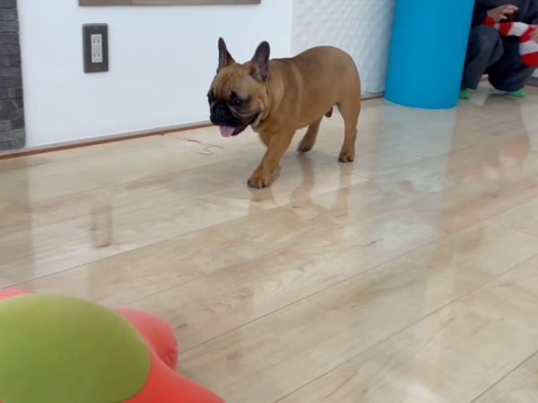 埼玉県さいたま市ショールーム グリップを確かめる様子