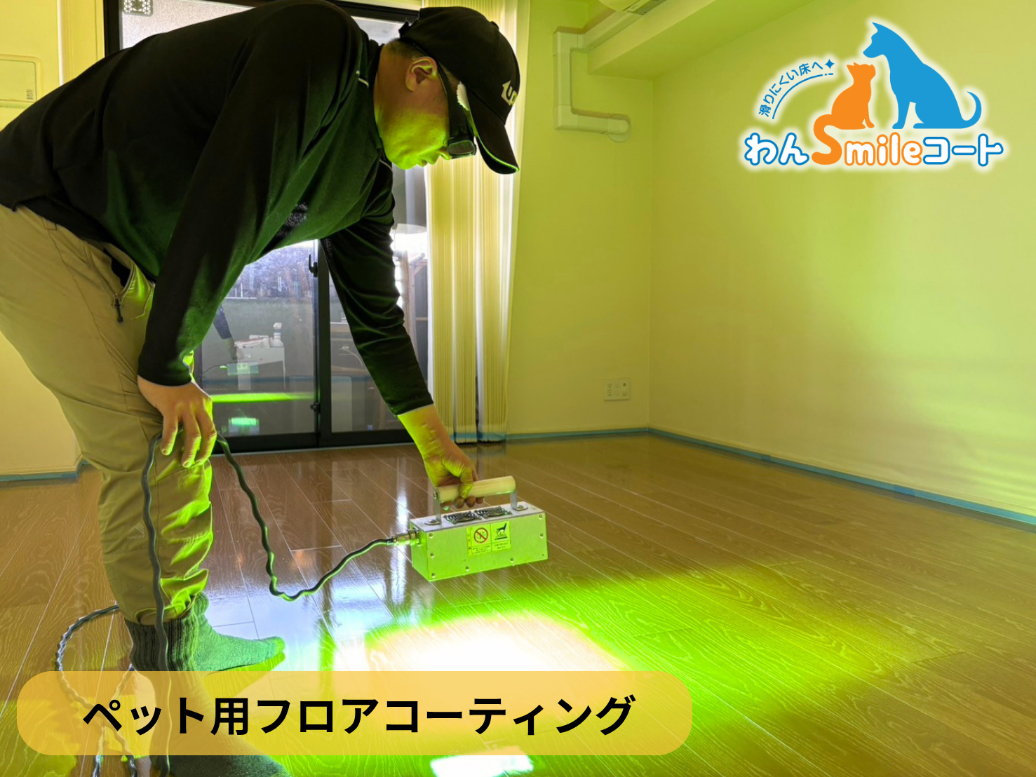 【東京都中央区】ペット用フロアコーティング施工事例｜入居中マンション　わんスマイルコート