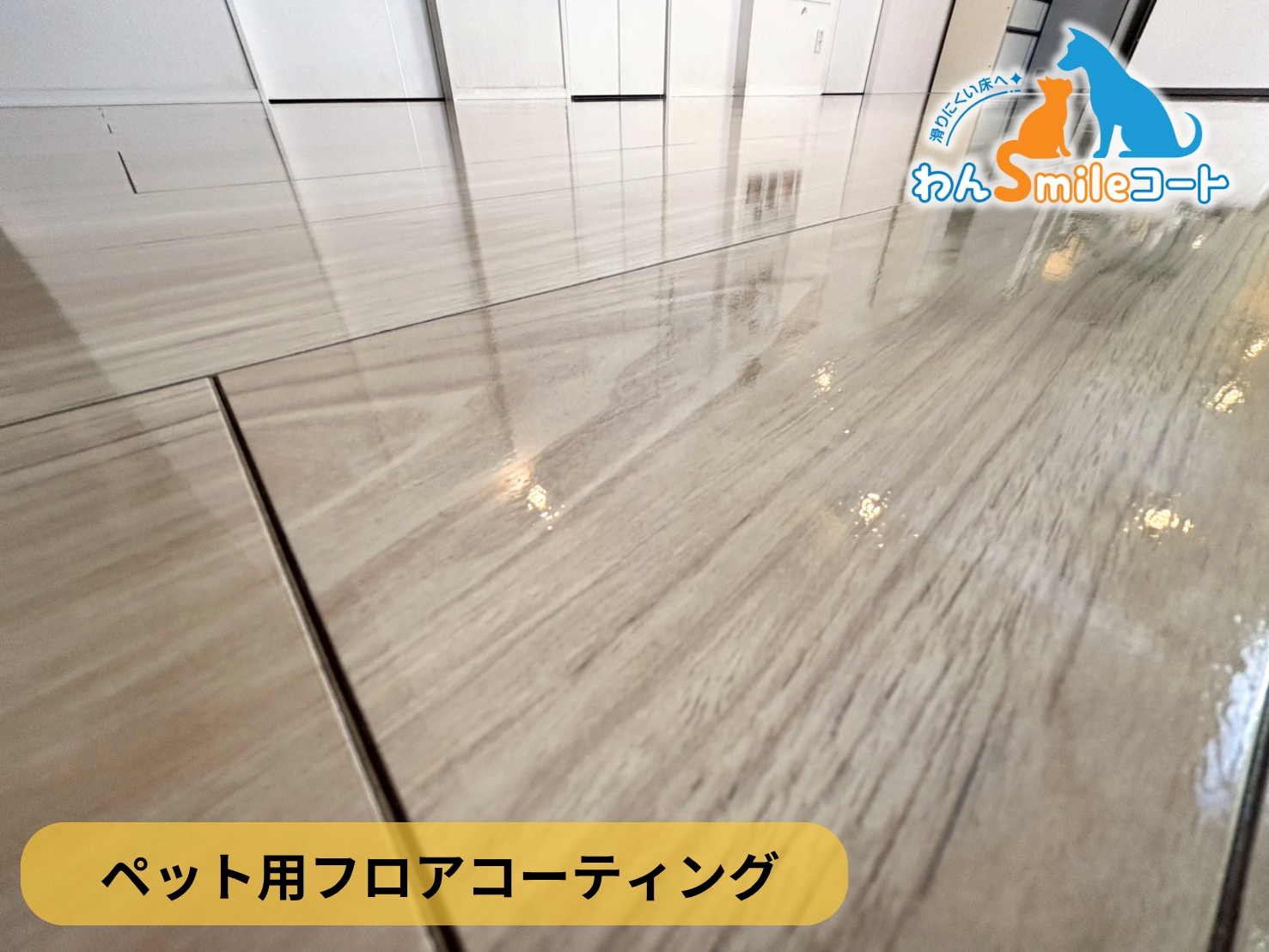 【茨城県守谷市】ペット用フロアコーティング施工事例｜入居中戸建て(7年)　わんスマイルコート