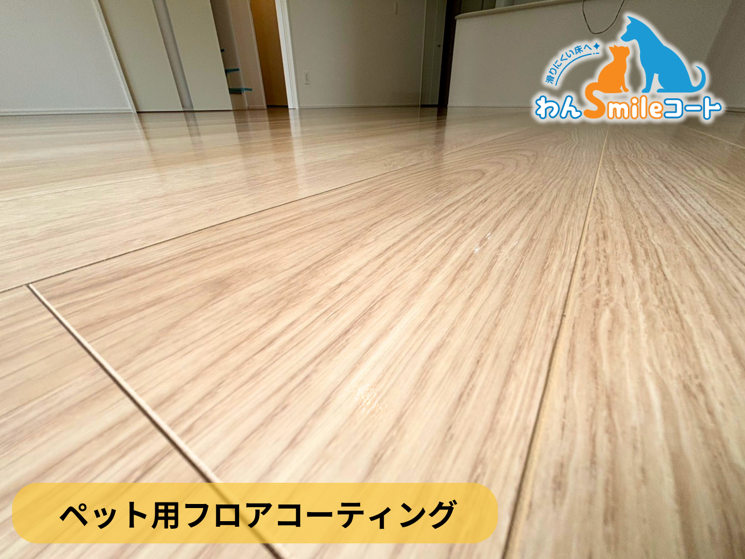 【神奈川県伊勢原市】ペット用フロアコーティング施工事例｜新築戸建　わんスマイルコート