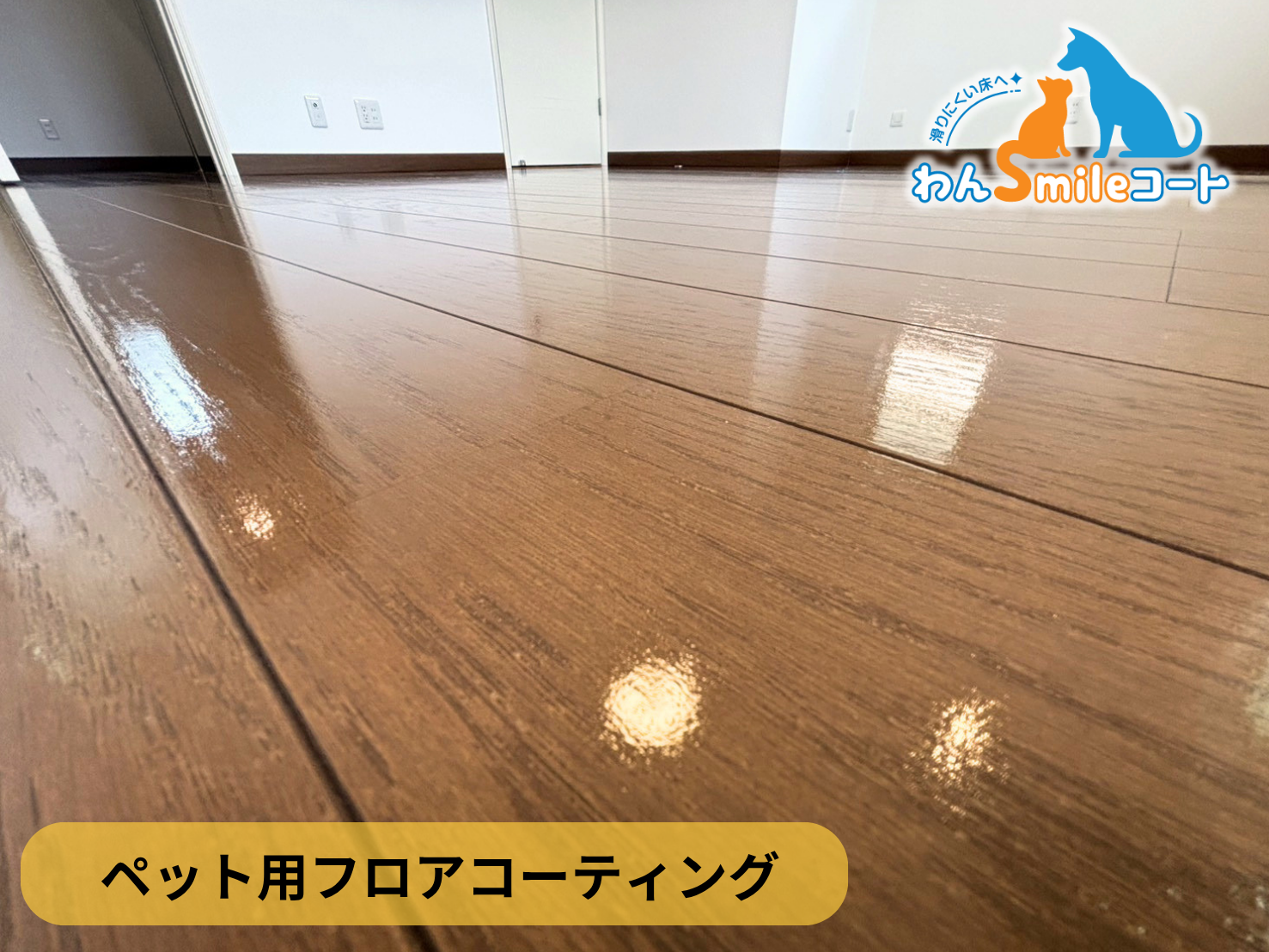 【神奈川県藤沢市】ペット用フロアコーティング施工事例｜築10年戸建て　わんスマイルコート