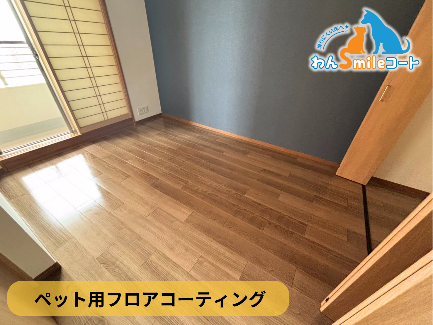 【埼玉県さいたま市中央区】ペット用フロアコーティング施工事例｜中古マンション　わんスマイルコート