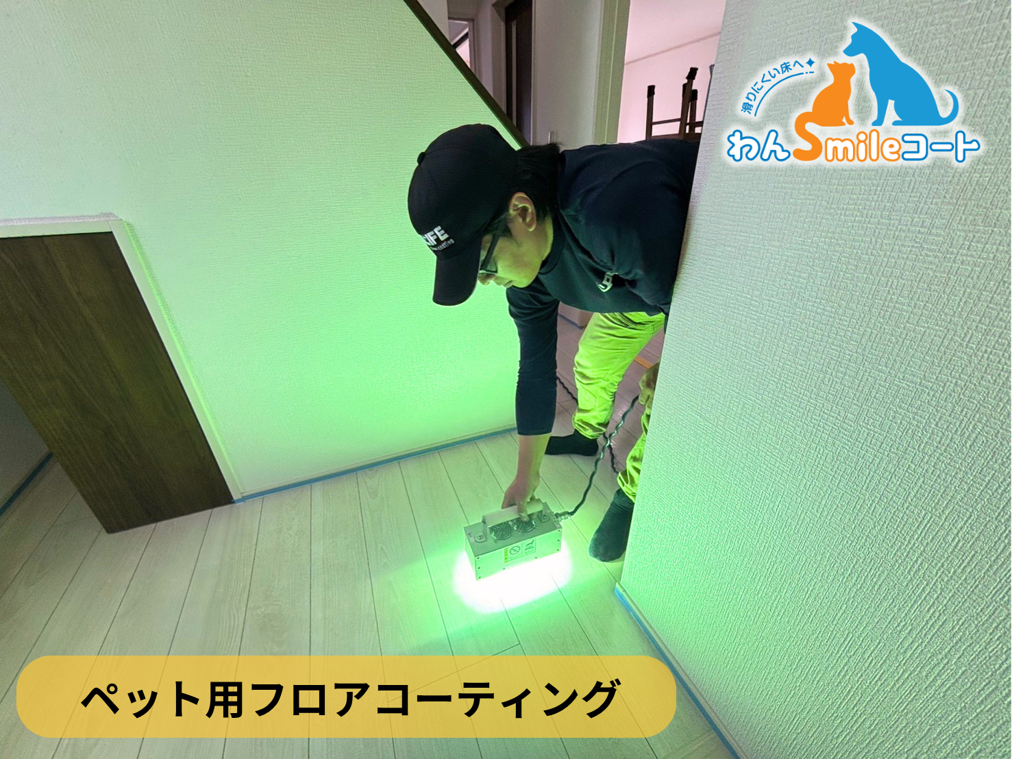 【埼玉県行田市】ペット用フロアコーティング施工事例｜中古戸建て　わんスマイルコート