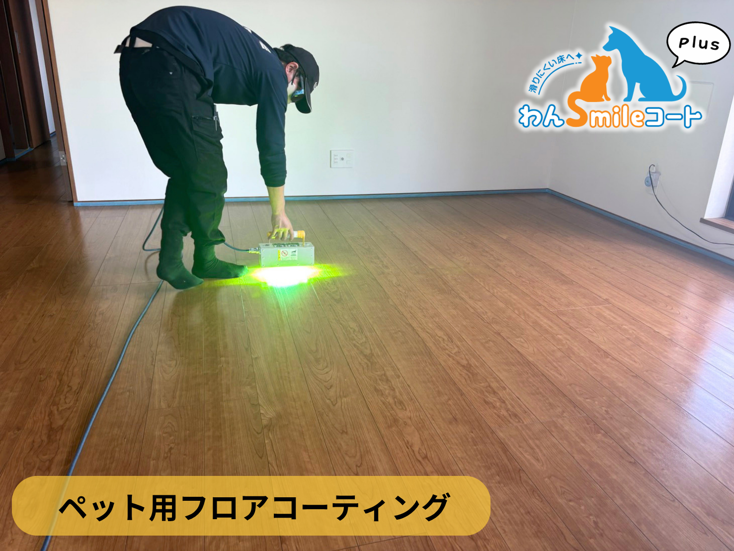 【東京都墨田区】ペット用フロアコーティング施工事例｜入居中築戸建　わんスマイルコートplus