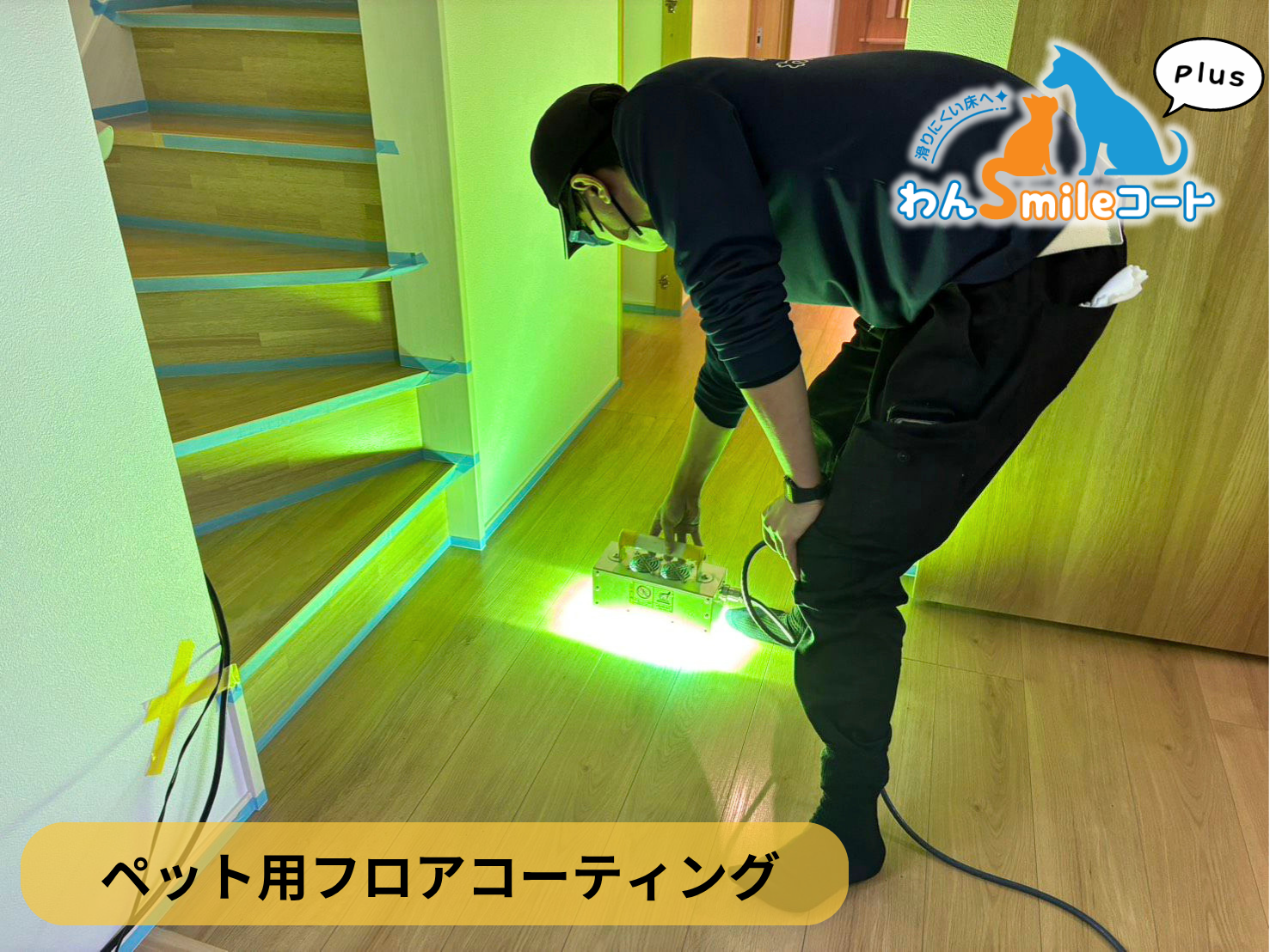 【栃木県下野市】ペット用フロアコーティング施工事例｜新築戸建て　わんスマイルコートplus